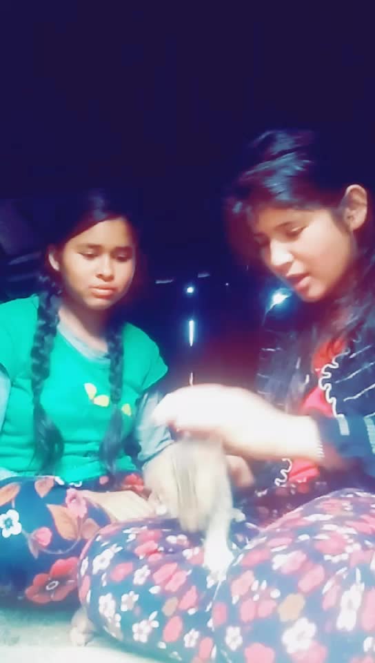 @varsharwt@1443