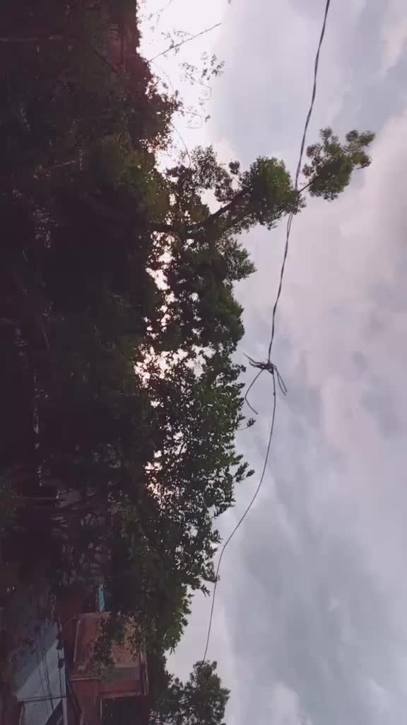@☺️🍁দোলা🍁☺️