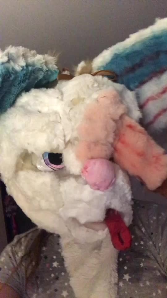 @Furry_Hype_House