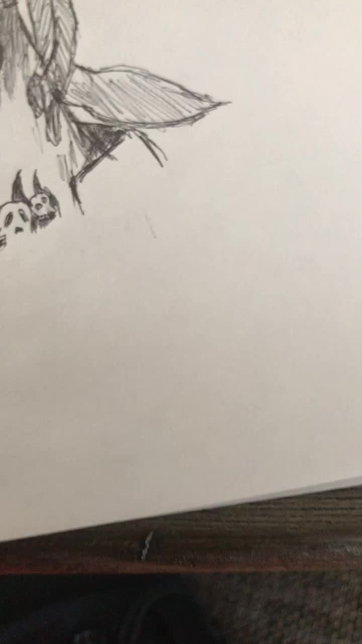 @mrnice