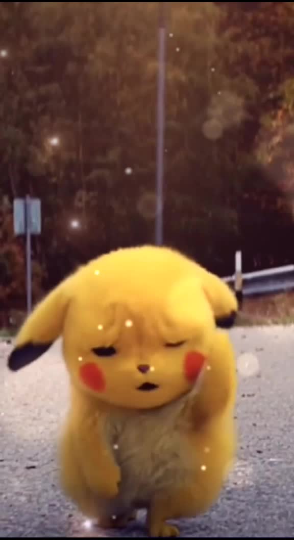 @pandas.editzz