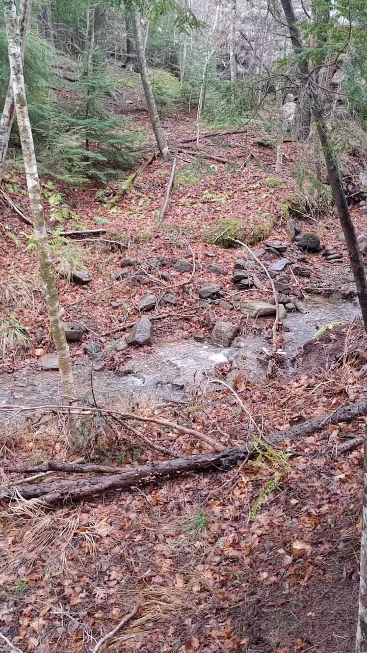 @Glen 🇨🇦