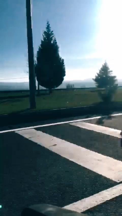 @Kadir Pınar