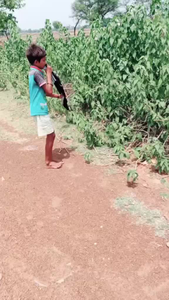 @Dilesh yadav .com
