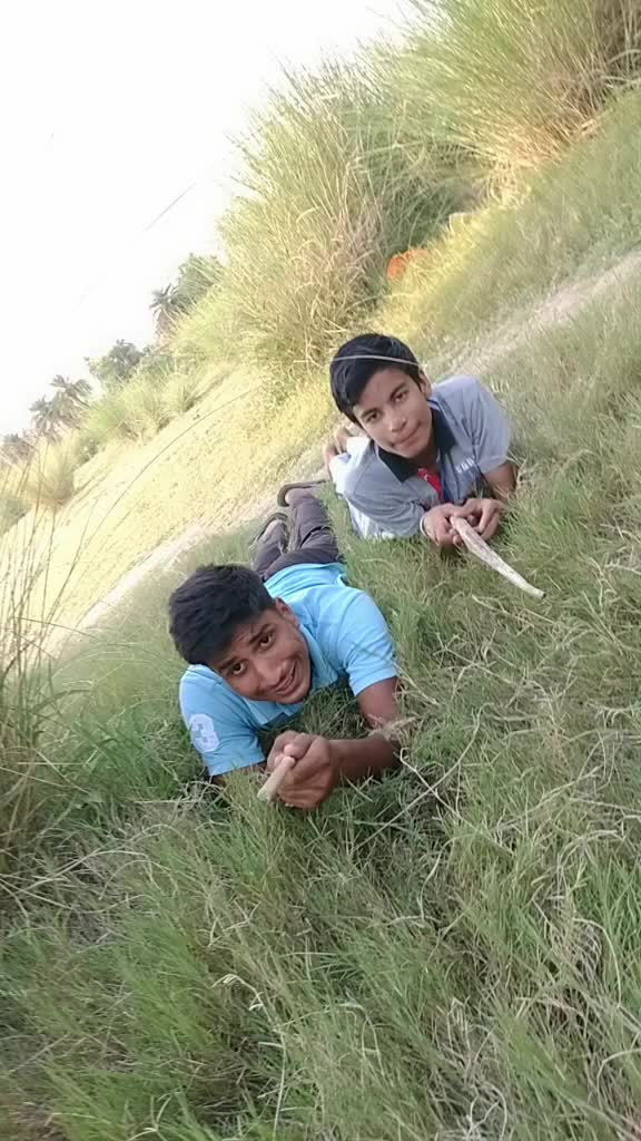 @Somit Saini