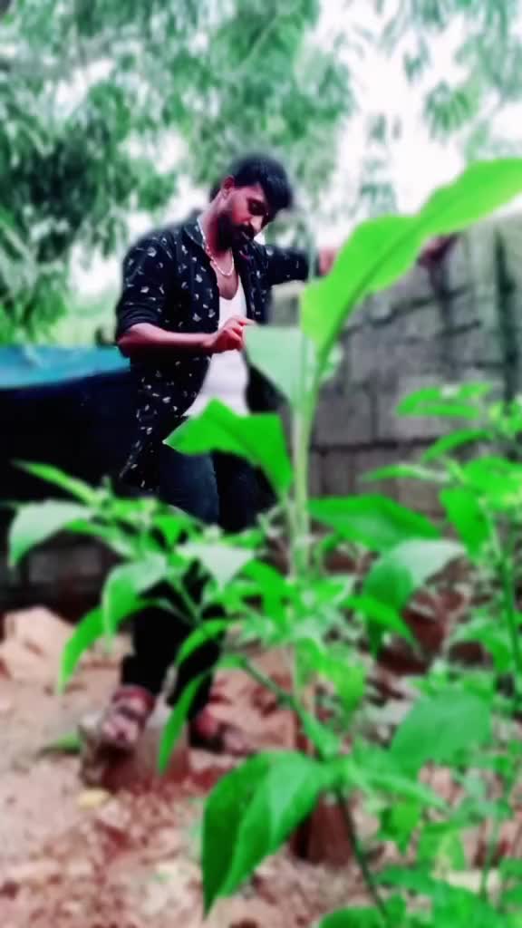 @Sibin Raj