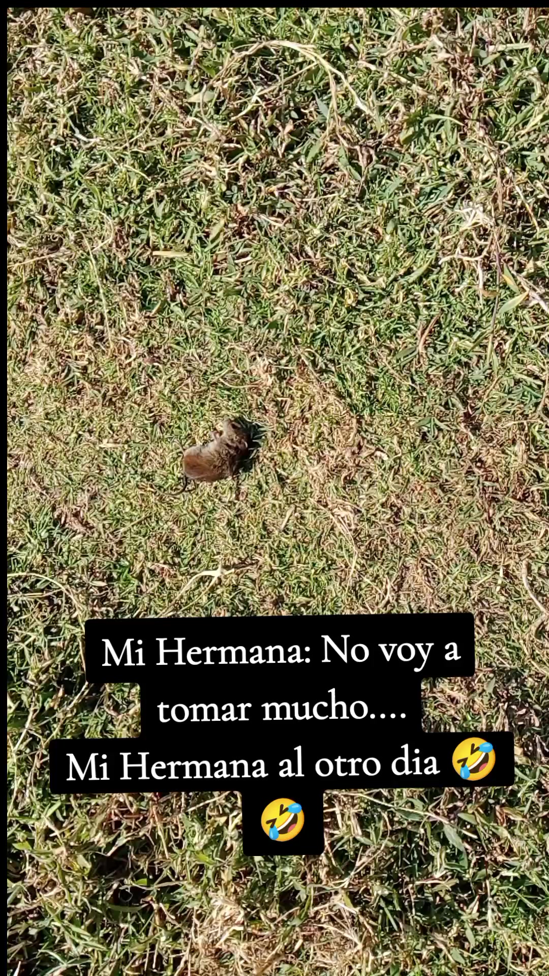 @FER