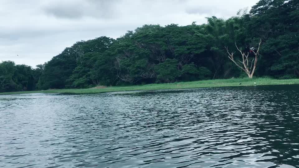 @varunvachis