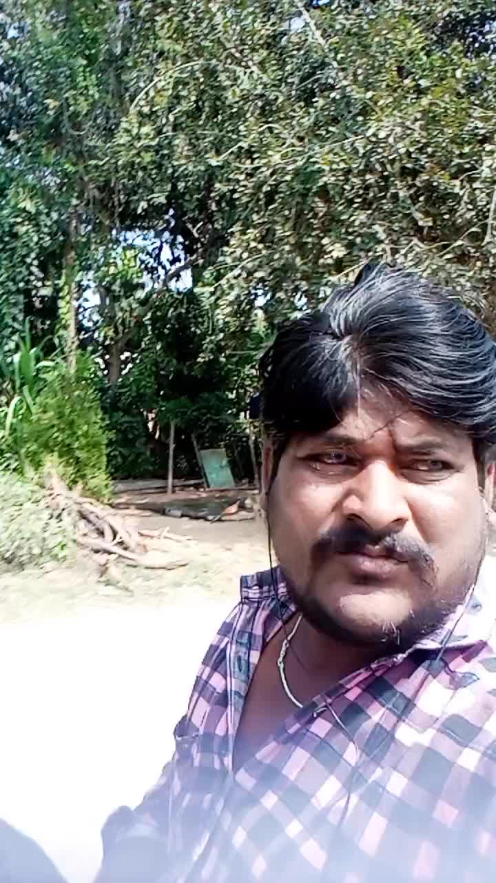 @user5617717866213