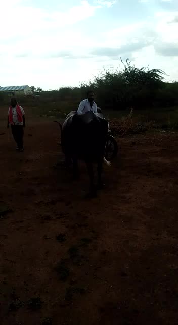 @jinnas bahu umap