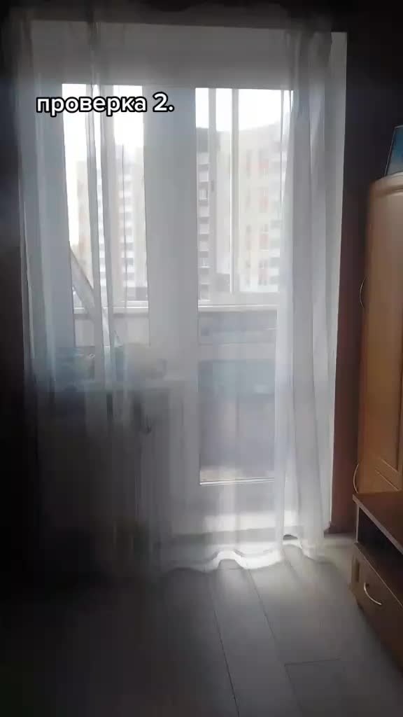 @мяв!?