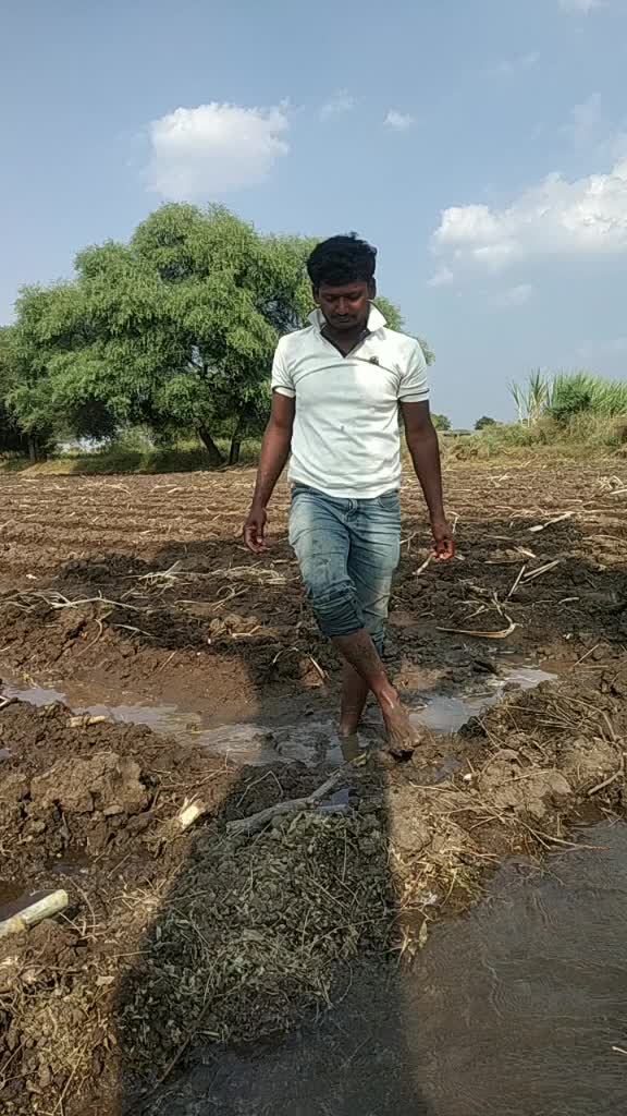 @sawantprasad59829017