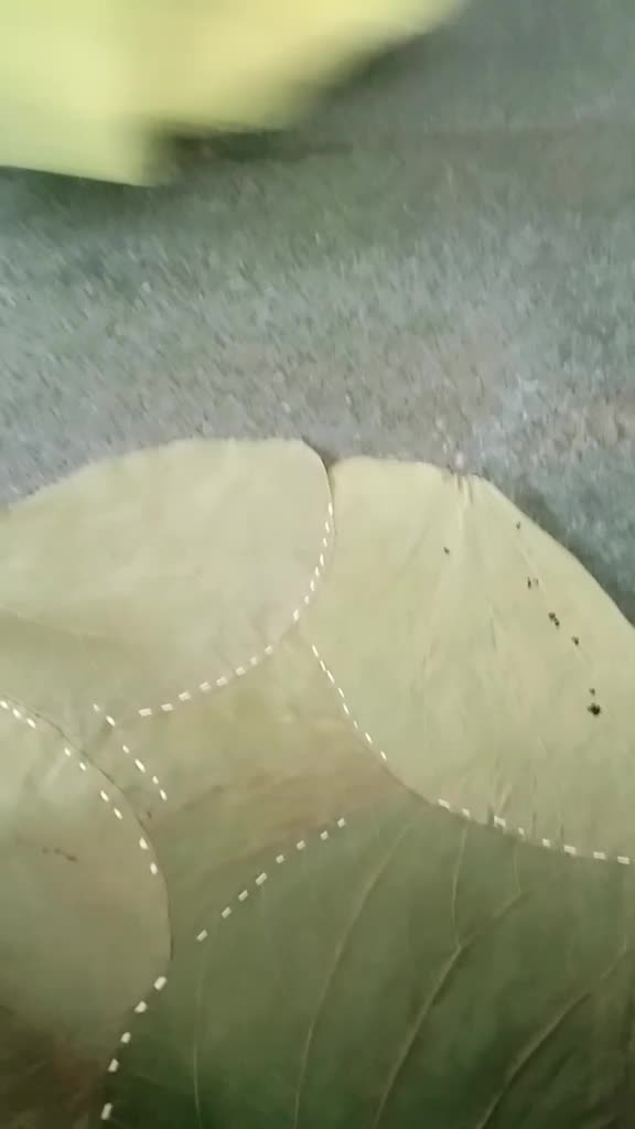 @nethraneeturagu