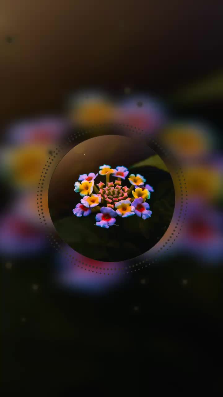 @🎧៣៩ɭ០ᖱƴ ¢០Ʀ⩎៩Ʀ🎧