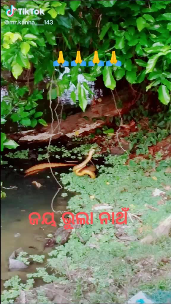 @@munamuna