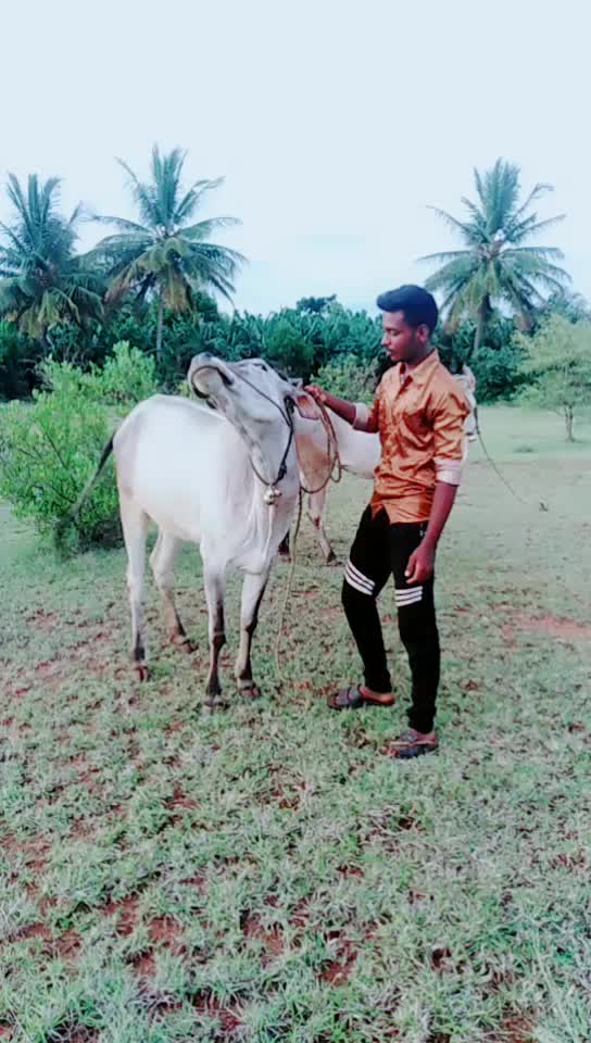 @ಗಾಂಚಲಿ ಹುಡ್ಗ