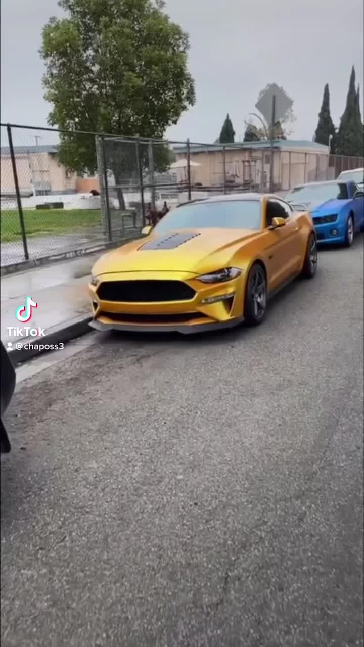 @Chapo_Ss