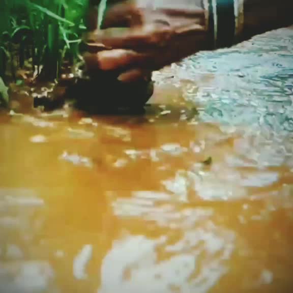 @शाहूवाडीकर👑✌️
