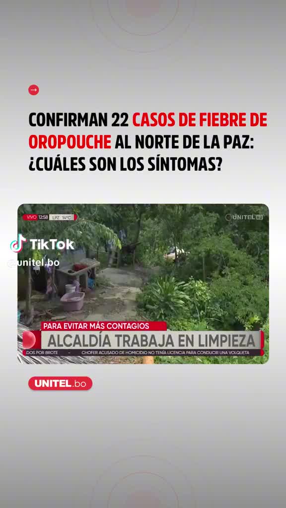 @el informante boliviano