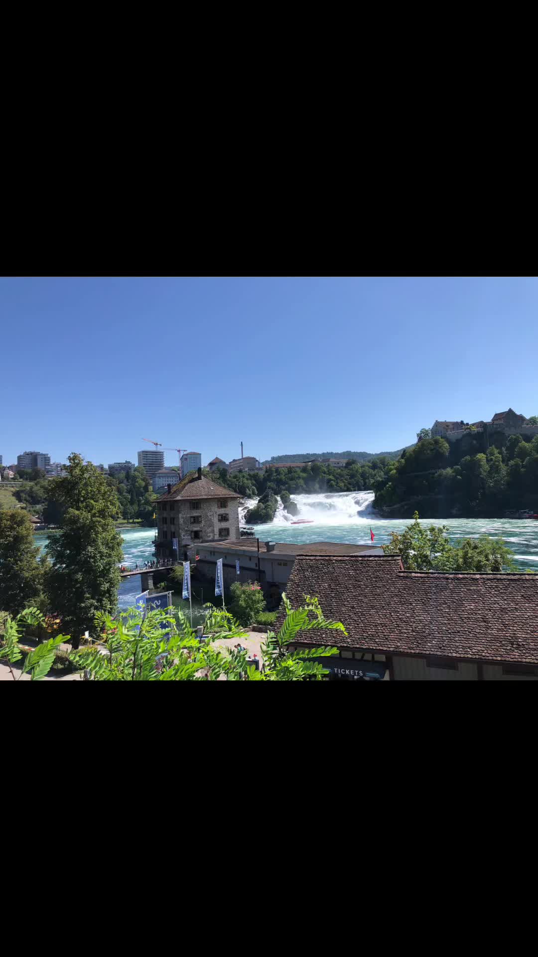 @𝐀𝐥𝐞𝐱