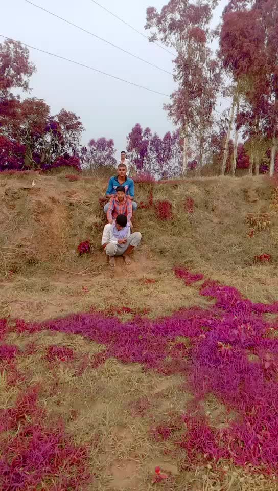 @Chand Bhai