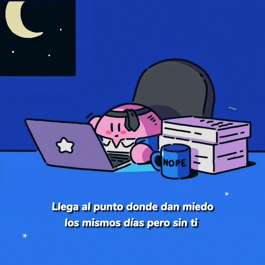 @Moon ₍˄..˄₎꠹