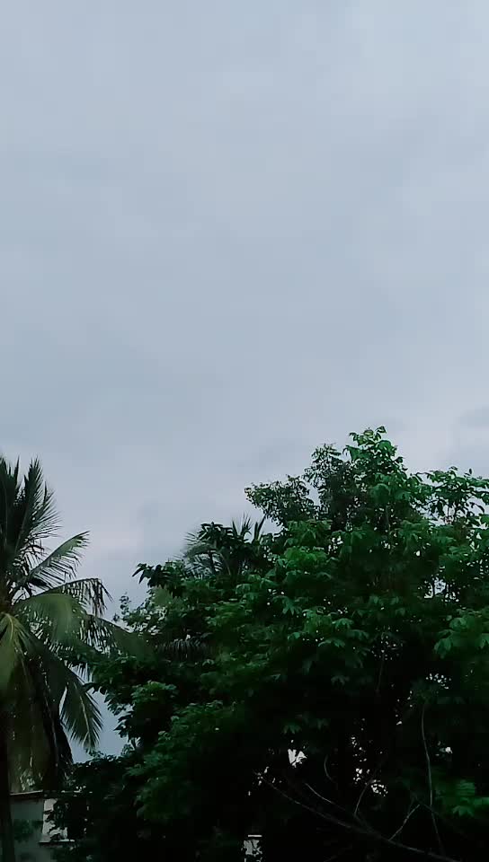 @muskan khan 786