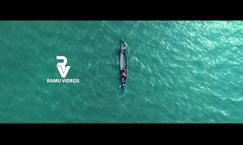 @Dildev