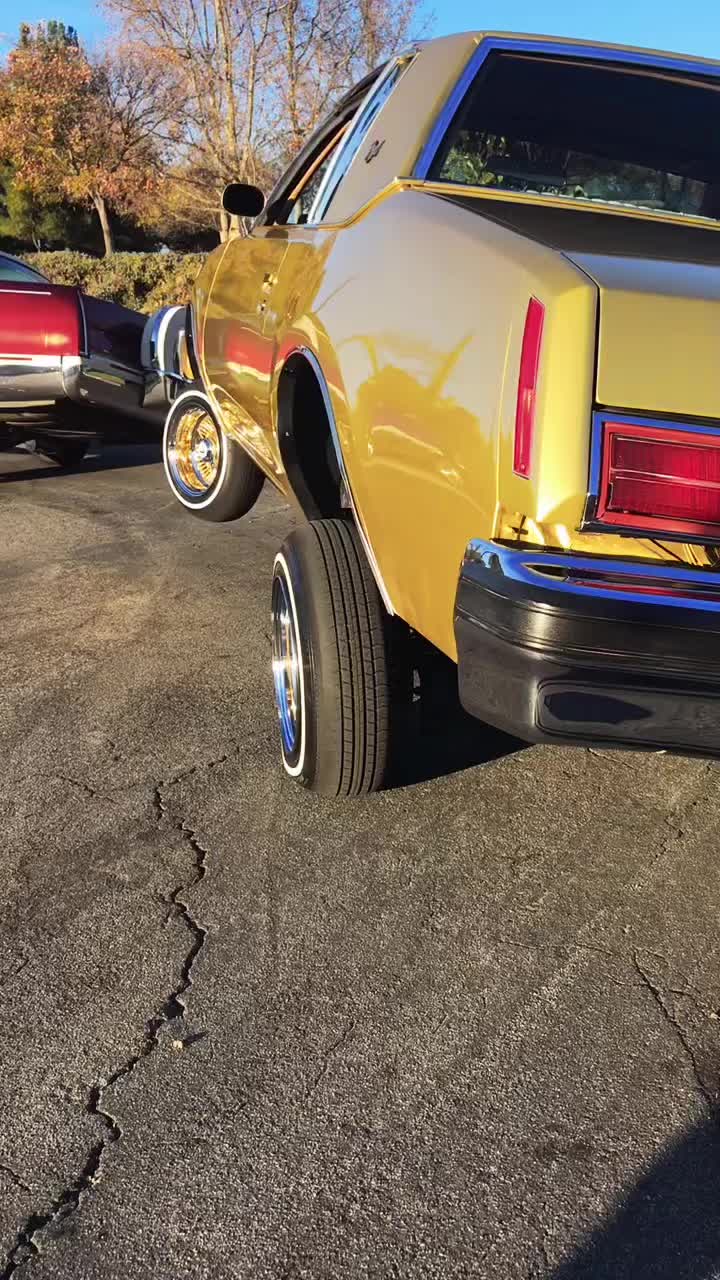 @mafioso6one9