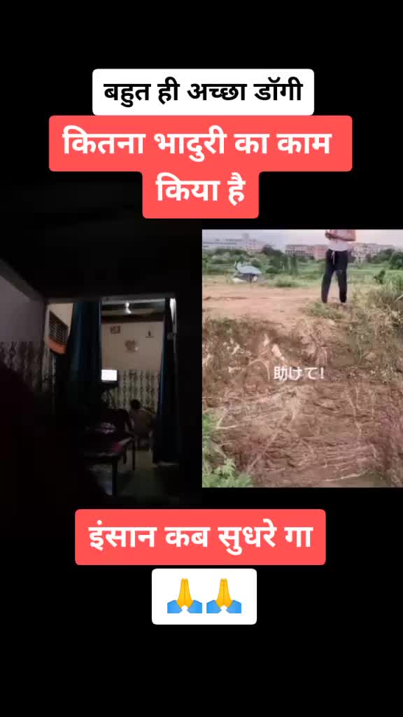 @jakhar1138