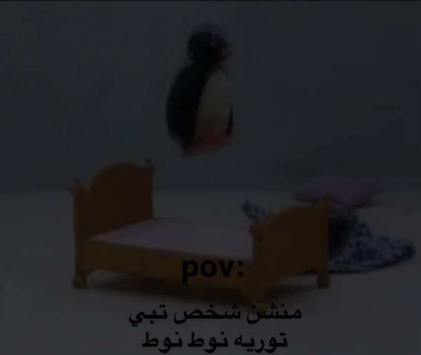 @قمر راكب همر