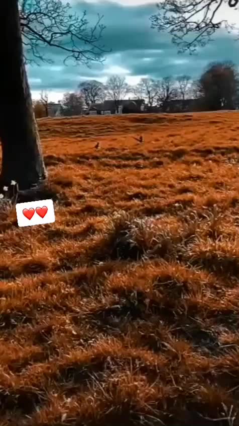 @Sukh_samra_🔏