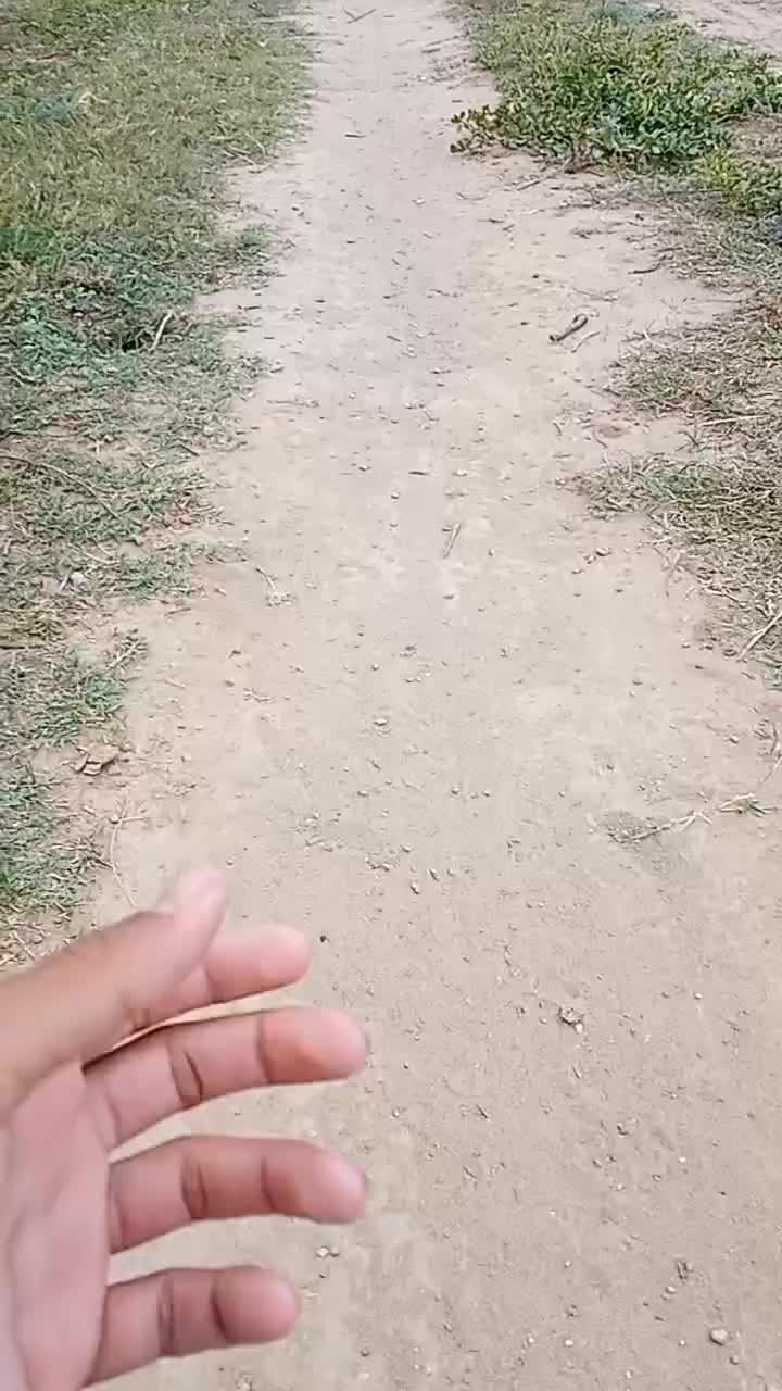 @raja 303