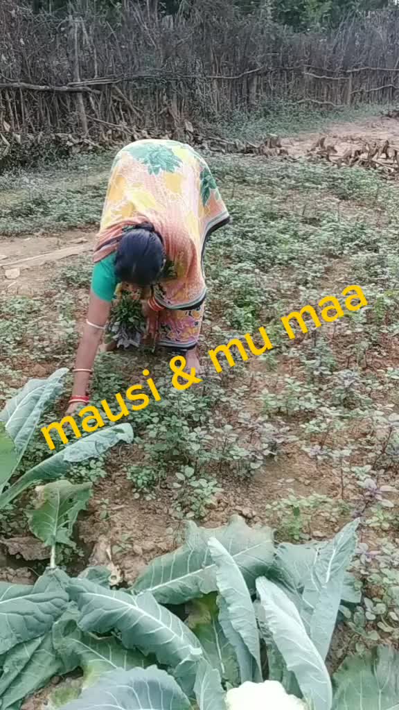 @Dipun Bhutia BP
