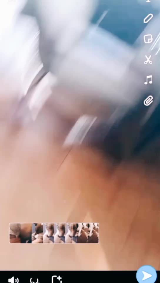 @❣️Reksio❣️