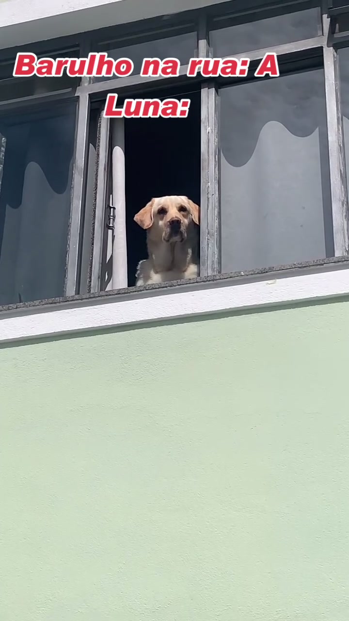 @Lunalinda.lab