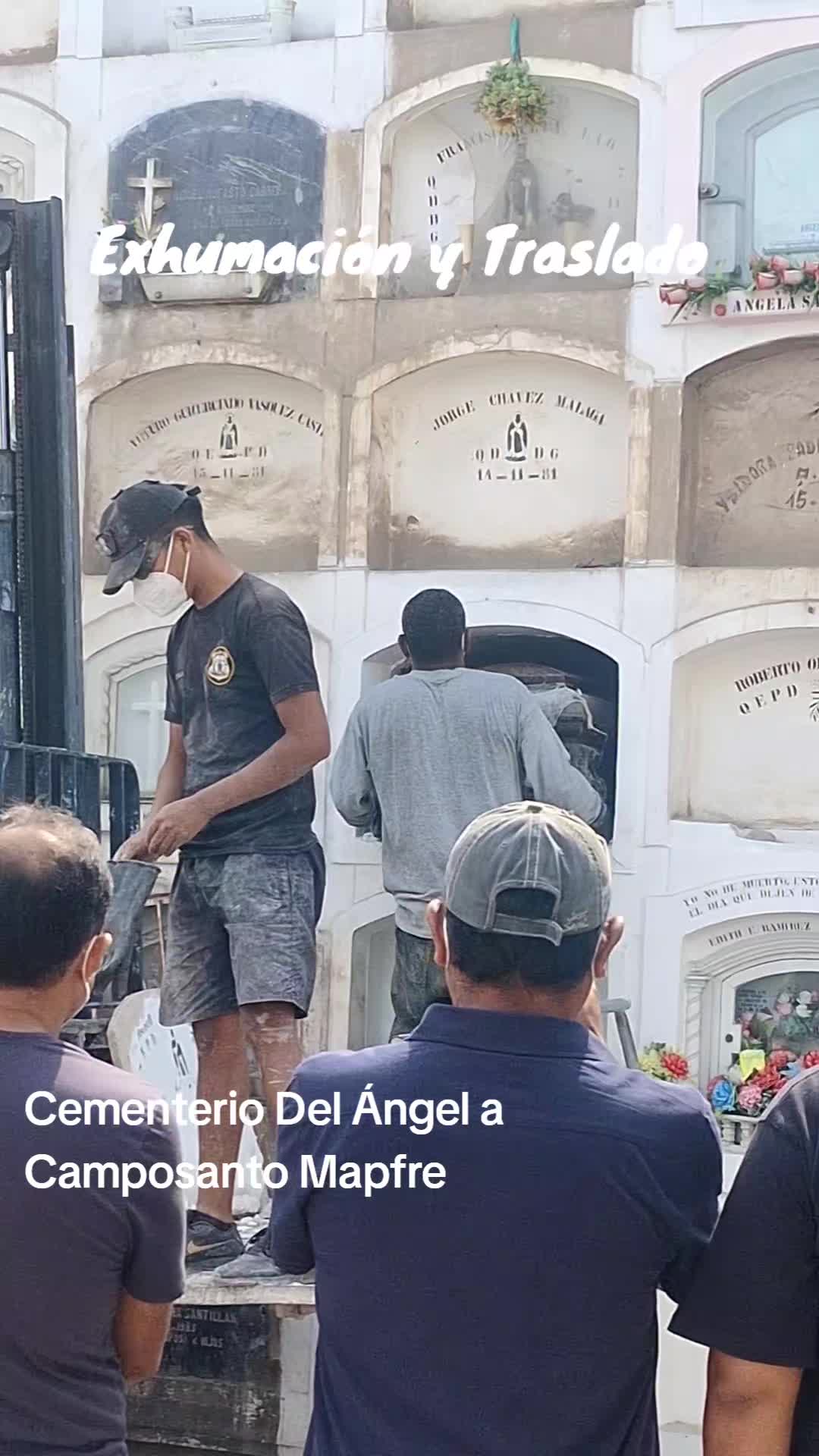 @Vida Perpetua Perú