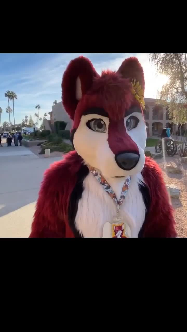 @Knoxx1616