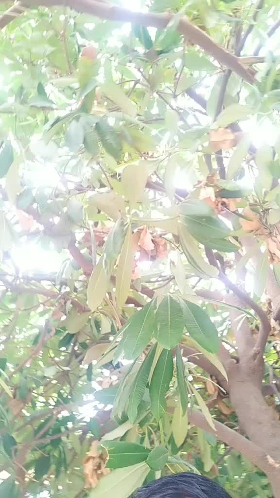 @ಬೆಳಗಾವಿ ಕನ್ನಡಿಗ💖