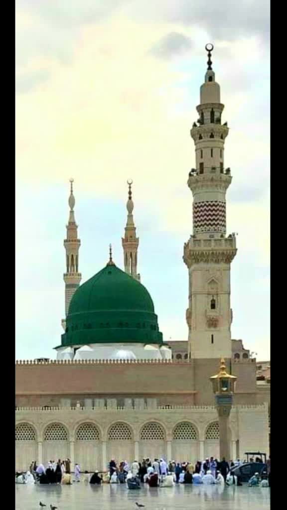 @MD Taufeeque Sekh