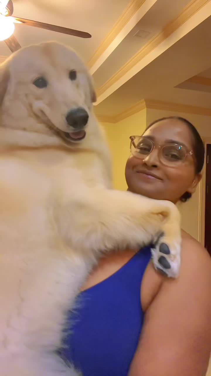 @ROVENA_balram_ITWARU