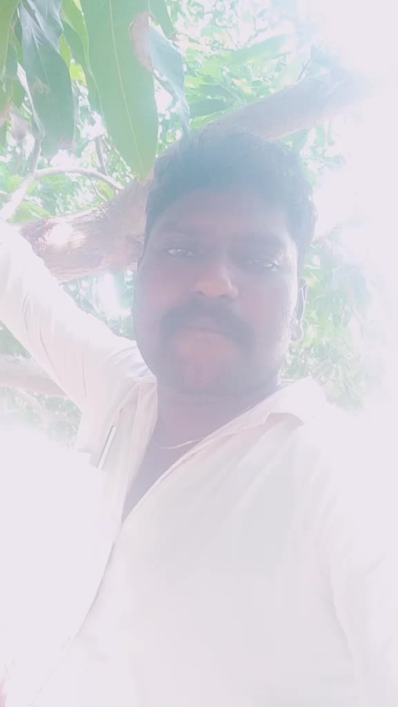 @mass