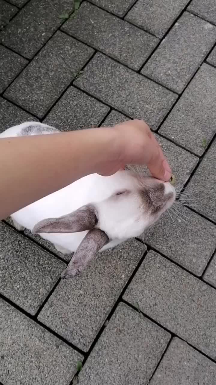 @✌︎