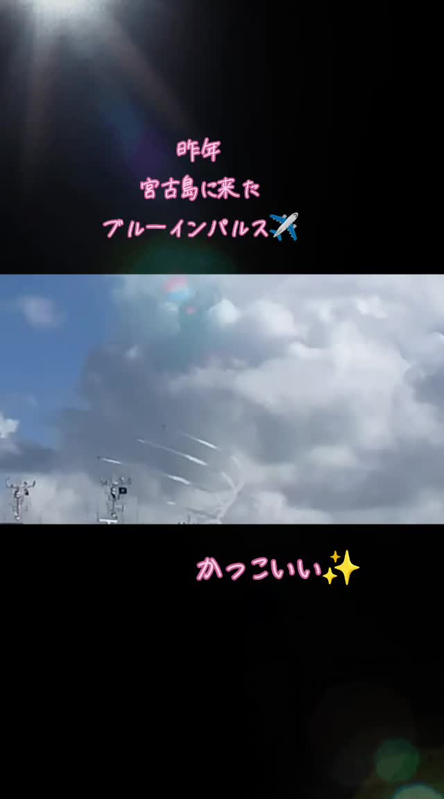 @こむぎ🐶🐱🌺✨👻