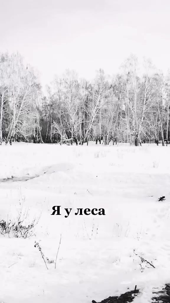 @🌼Оля Петрова🌼