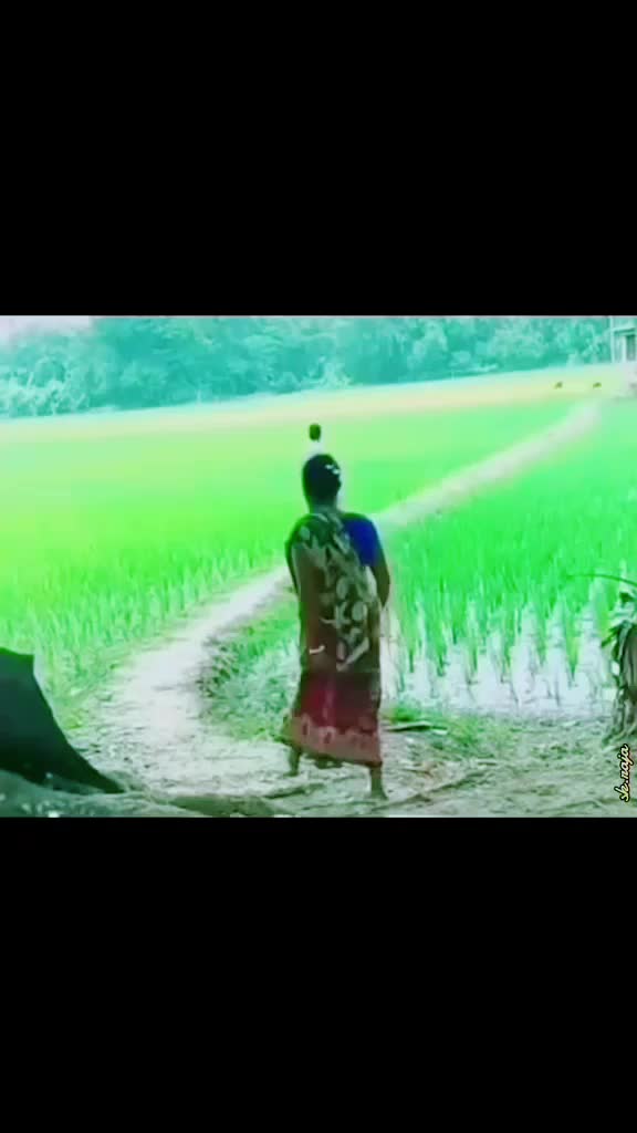 @aurangzeb_Mekrani