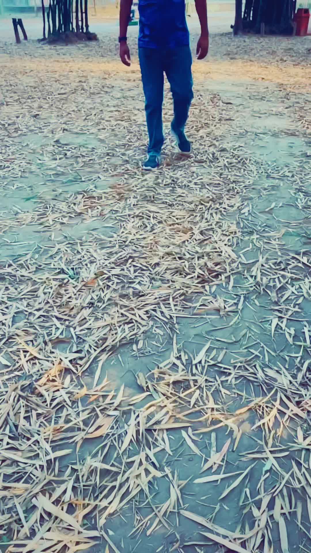 @रानी को राजा हो