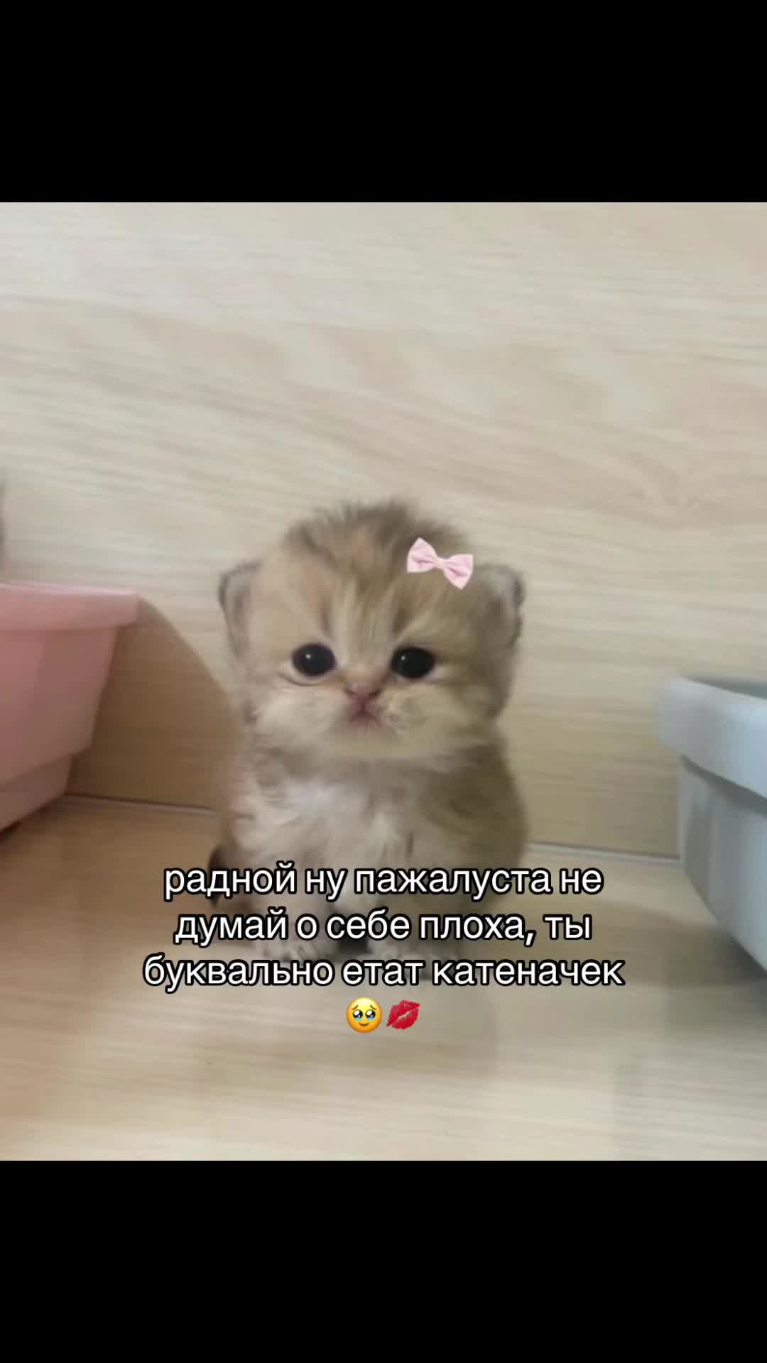 @— sabb💋