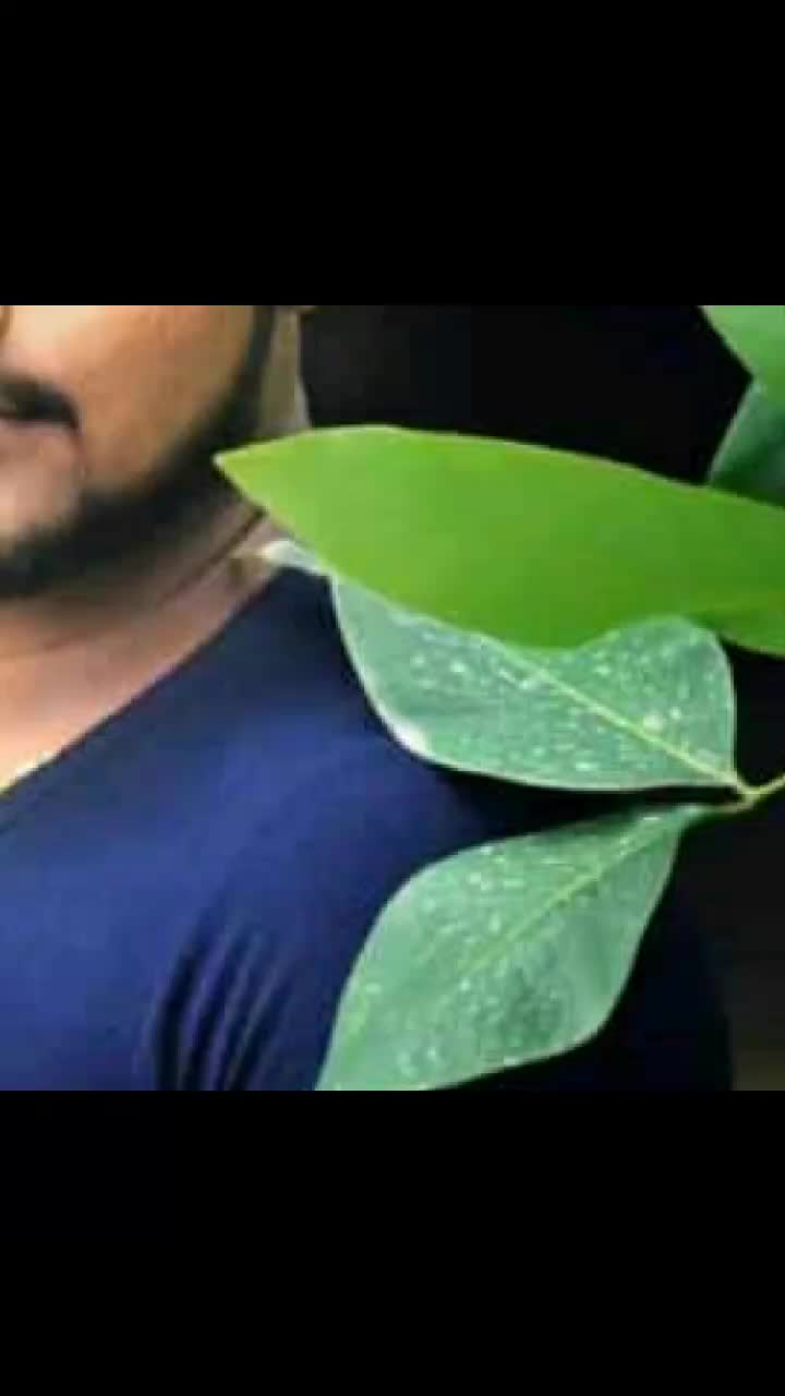 @Kishu Banna
