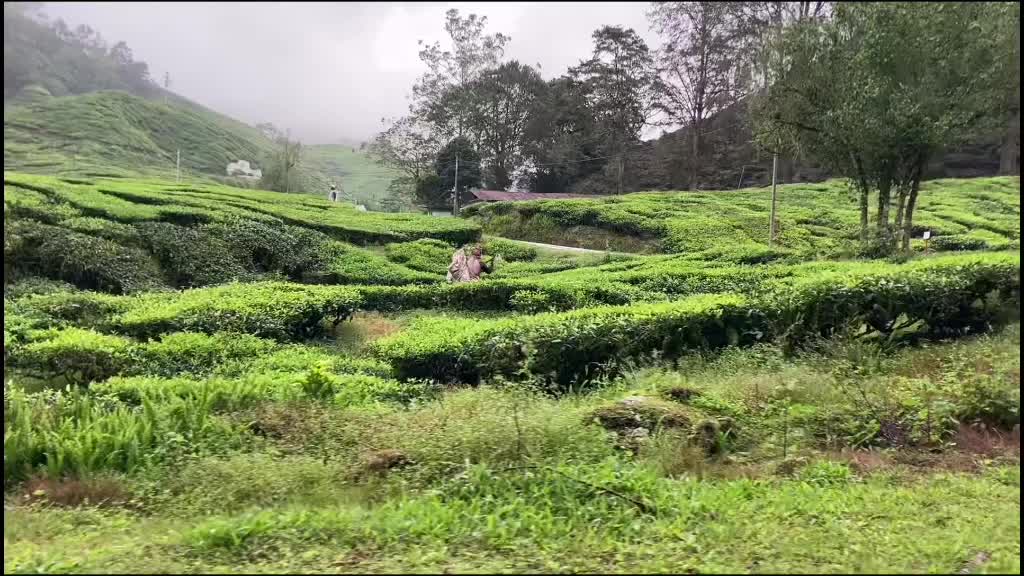 @Jyoti Pandey